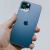 iPhone back logo