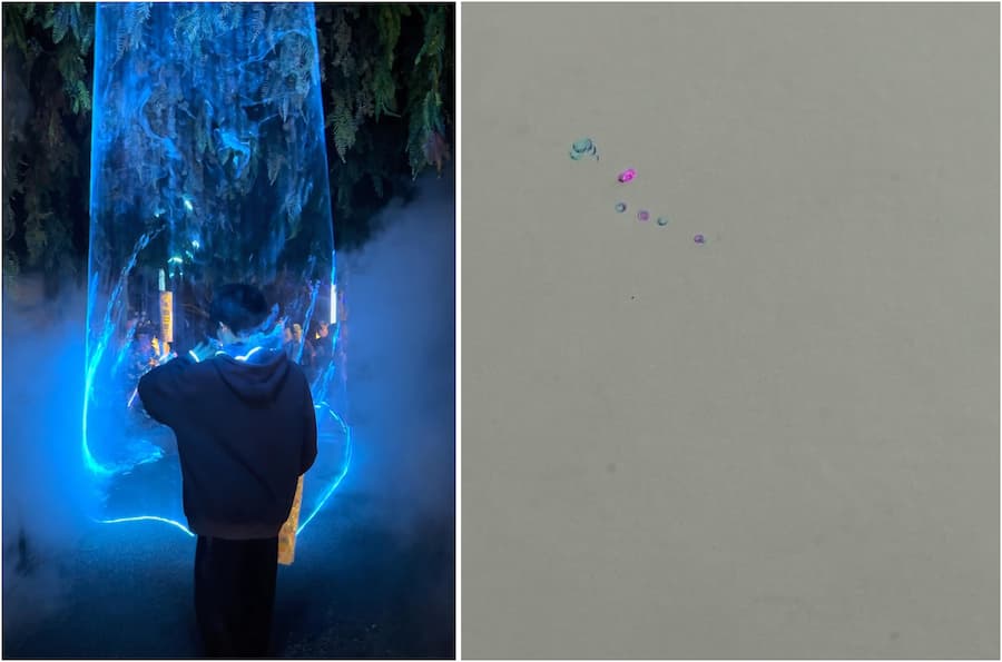 When taking pictures of the lantern festival, mobile phones should avoid being exposed to laser light to prevent damage to the lens sensor 2