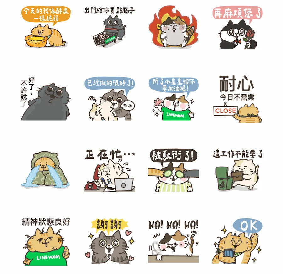 LINE VOOM × Daily life of playing with a cat