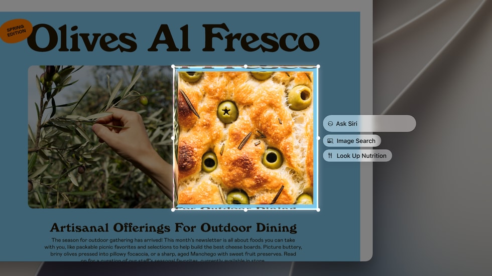 macOS 27 Visual Intelligence