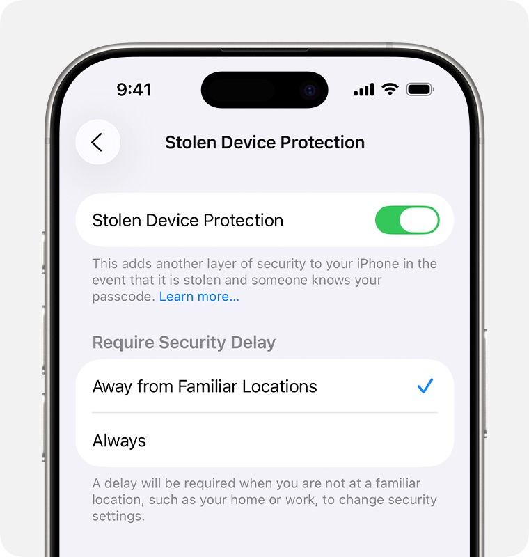 Stolen Device Protection turned on under Face ID and Passcode in iPhone Settings from Apple Support